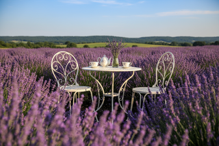 Just a close up on the table with lavender plants all around no building in background, in Tennessee
